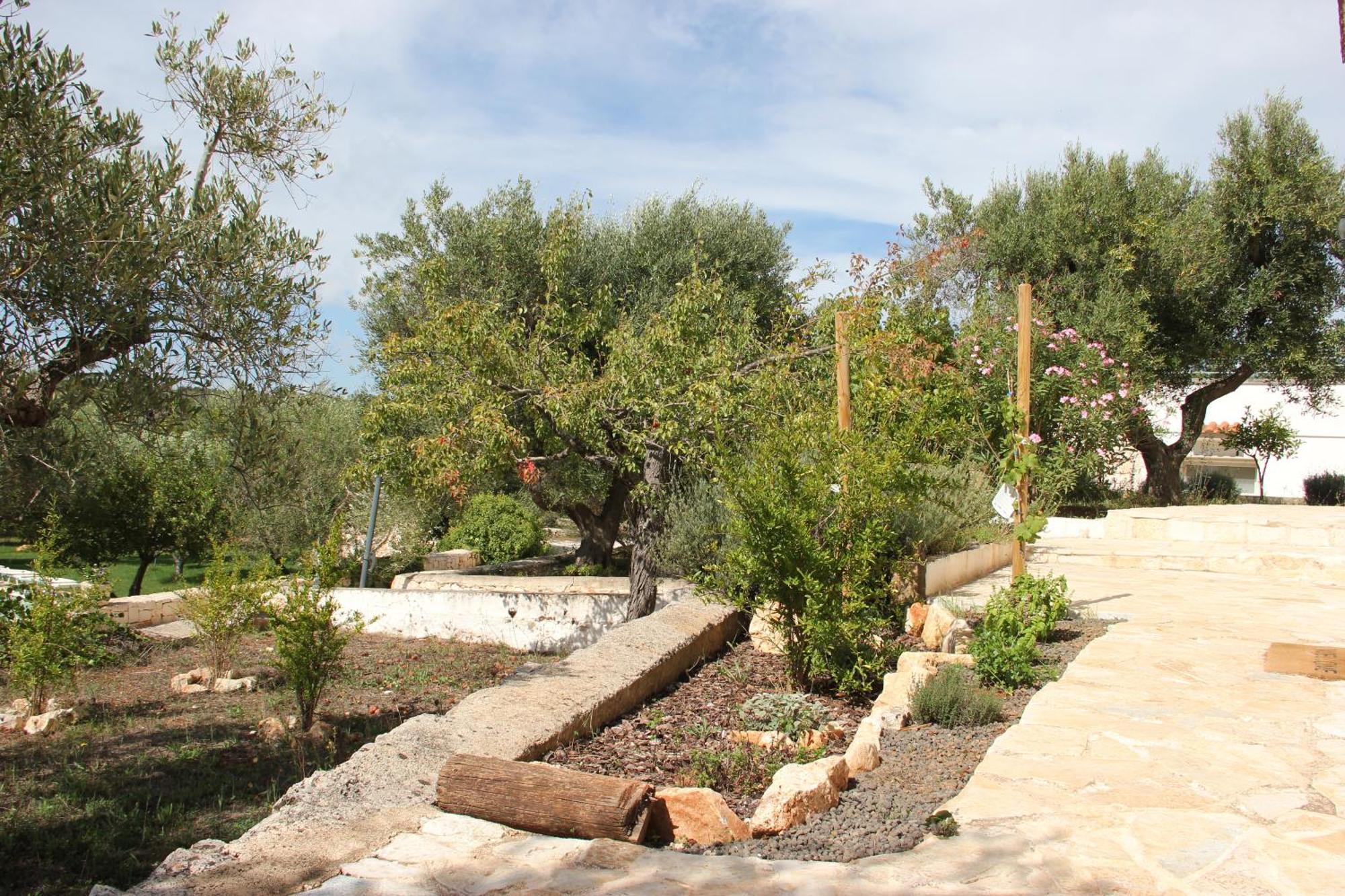 Le Terrazze Della Crianza Daire Ostuni Dış mekan fotoğraf